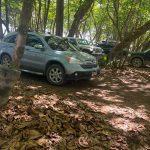 Medio Ambiente respalda reclamo para frenar tránsito de vehículos en Playa Encuentro, Cabarete