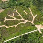 Investigan discrepancia en licencia ambiental a proyecto
