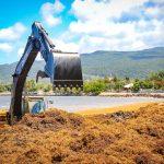 RD tendrá “norma especial” para combatir sargazo